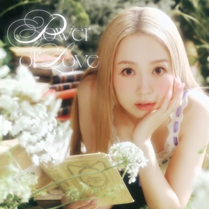 Pochette de Power of Love